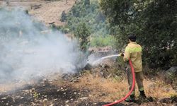 GÜNCELLEME - Antalya'da makilik alanda çıkan yangın kontrol altına alındı