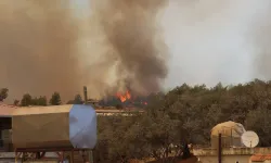 GÜNCELLEME 2 - Hatay'da ormanlık alanda yangın çıktı