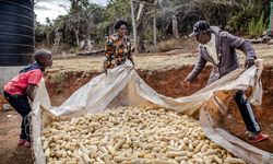 FAO Gıda Fiyat Endeksi Mayıs Ayında Düştü