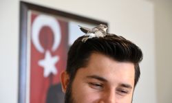 Kadirli'de belediye personeli hizmet binasına giren kırlangıç yavrusuna su verdi