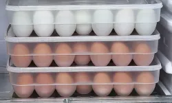 Osmaniye’de Uyarı Yumurtaları Kartonuyla Saklamayın