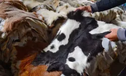 Osmaniye’de Kurban Derileri Nasıl Değerlendirilmeli?