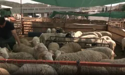 Bornova Pazarı’nda Besici Umduğunu Bulamadı