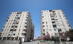 Mersin'de saklandığı sitedeki evlere giren maymunun yakalanması için kafes kuruldu
