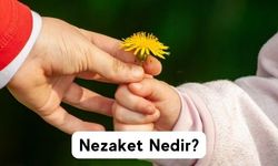 Nezaket Neden Önemlidir, Nerede Kaybettik?