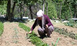"Şalvarlı" belediye başkanı hem evini hem ilçesini kalkındırıyor