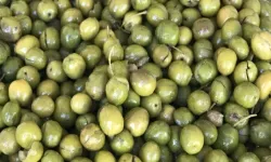 Osmaniyeli Hanımlara Evde Zeytin Acısı Nasıl Giderilir?
