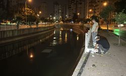 Adana'da sulama kanalına devrilen otomobildeki 3 kişi yaralandı