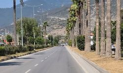 İskenderun Limanı ve Palmiye Güzelliği