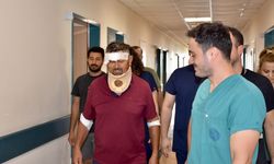 Antalya'da aslanın saldırması sonucu yaralanan kişi taburcu edildi