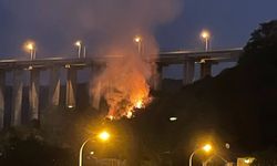 Beykoz’da Alevler Geceyi Sardı