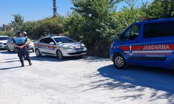 GÜNCELLEME - Manavgat'ta hayvan parkından kaçan aslan vurularak etkisiz hale getirildi