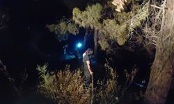 Hatay'da çıkan örtü yangını söndürüldü