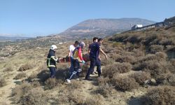 Hatay'da şarampole devrilen hafif ticari aracın sürücüsü yaralandı