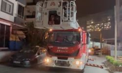 İskenderun'da çatıda mahsur kalan kediyi itfaiye kurtardı