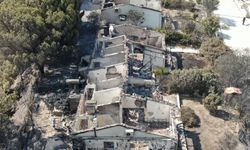 Hatay Orman Yangını: 700 Saha Kül