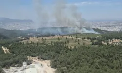 Balıkesir ve Diyarbakır'da Orman Yangınları Sürüyor
