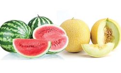 Osmaniyelilerden Kavun-Karpuz Tepkisi