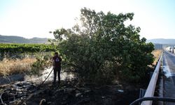 Mersin'de alev alan süt tankerinden çalılık alana sıçrayan yangın söndürüldü