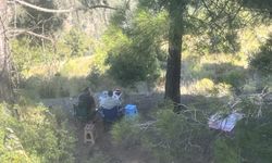 Mersin’de ormanda piknik yapan 4 kişiye para cezası kesildi