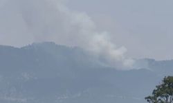 Osmaniye Düziçi’nde Orman Yangınına Müdahale Sürüyor