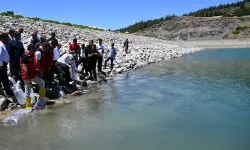 Karacaören’e 10 Bin Sazan Yavrusu
