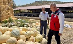 Hatay İl Müdürü Türkmen, Beyaz Bal Kabağı Üreticileriyle Bir Araya Geldi