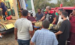 Adana'nın İmamoğlu ilçesindeki orman yangını kontrol altına alındı