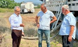 Başkan Yeşildemir Çalışmaları Yerinde İnceledi