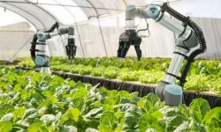 Çin, Tarımda Kullanılacak İlk Yapay Zeka Robotunu Geliştirdi
