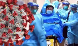 Çin'de Chikungunya Alarmı Vaka Sayısı 7 Bini Aştı, Özel Tedavisi Yok