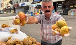 Dikenli mi Dikensiz mi? Adana’nın İncir Tercihi