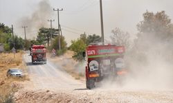 GÜNCELLEME 2 - Mersin'de ormanlık alanda yangın çıktı