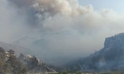 GÜNCELLEME 3 - Mersin'de ormanlık alanda yangın çıktı
