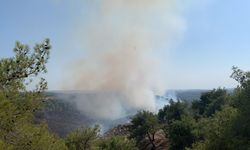 GÜNCELLEME - Adana'nın Sarıçam ilçesinde çıkan orman yangını kontrol altına alındı