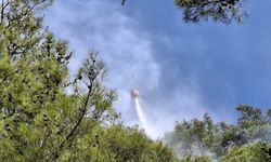 GÜNCELLEME - Mersin'de çıkan orman yangını kontrol altına alındı