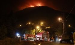 Hatay'da ormanlık alanda çıkan yangına müdahale ediliyor