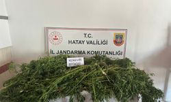 Hatay'da uyuşturucu operasyonunda 5 şüpheli gözaltına alındı