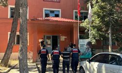 Kahramanmaraş'ta orman yangınıyla ilgili gözaltına alınan zanlı tutuklandı