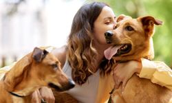 Köpeğiniz Acı Çekiyor Mu? Dikkat Etmeniz Gereken 7 Gizli Belirti