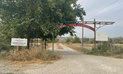 Osmaniye’de Kuş Cennetleri Kuraklık ve Tahribatla Tehdit Altında