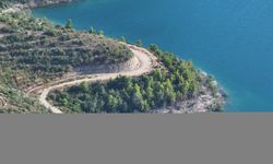 Manavgat'ta yanan ormanlık alanlar yeniden "yeşil örtü" ile kaplanıyor