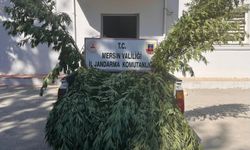 Mersin'de uyuşturucu operasyonunda 8 şüpheli yakalandı