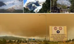 Türkiye’de Orman Yangınlarıyla Mücadele Sürüyor: Kocaeli, Karaman ve Diyarbakır’da Alarm