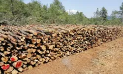 Düziçi Orman İşletme Müdürlüğü'nden Odun İstifleme İşi İhale İlanı