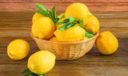 Osmaniye’de Bahçıvanların Gizli Silahı!