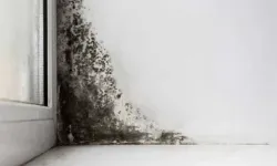 Kış Aylarında Mutfakta Nem Kabusu!