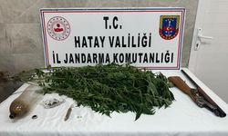 Payas'ta uyuşturucu operasyonunda 1 şüpheli yakalandı