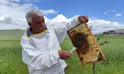 Ardahan’ın Coğrafi İşaretli Balı Yeni Hasadıyla Piyasada