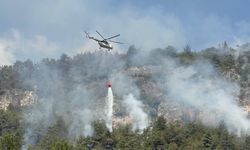 Ormanlarımız Alev Alev Karabük, Bolu ve Çanakkale'de Kritik Yangınlar